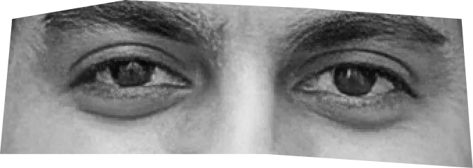 A collage of people's eyes
