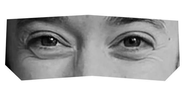 A collage of people's eyes