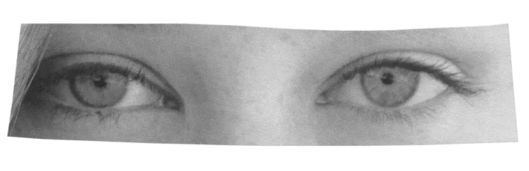 A collage of people's eyes