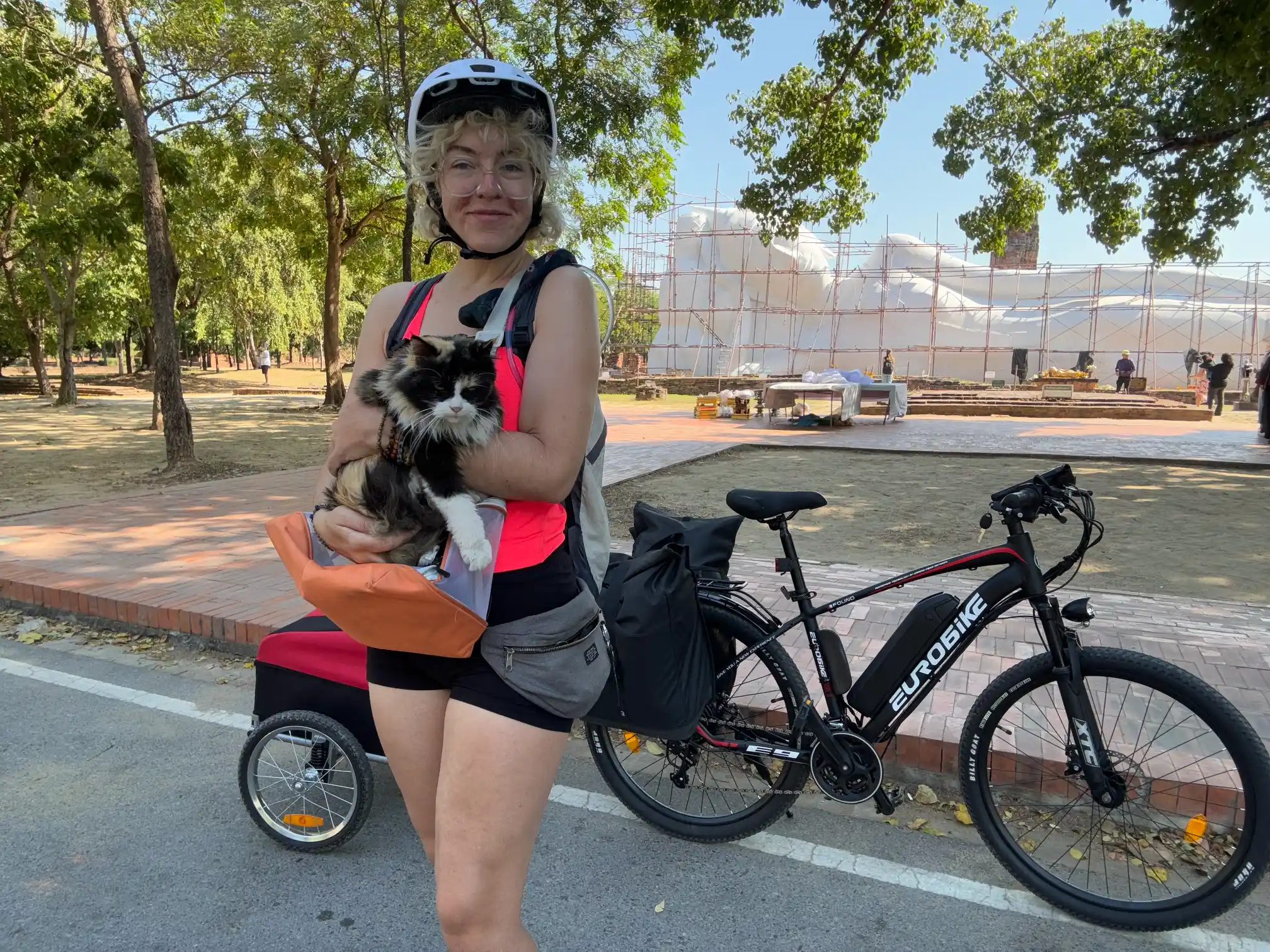 Creative solutions for traveling with cat across Southeast Asia