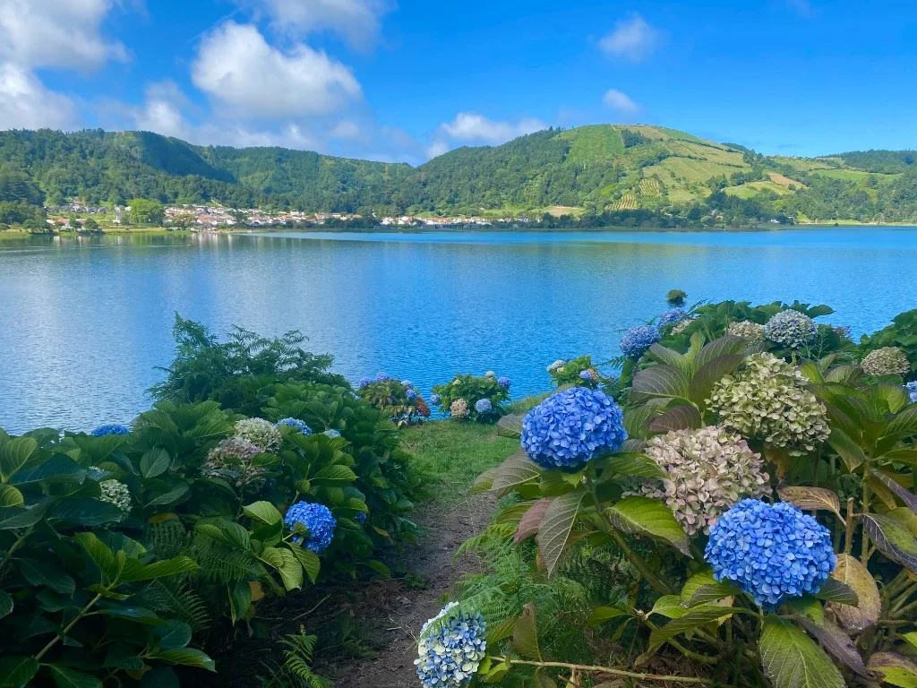Blue and pink hydrangeas frame a calm crater lake with a small village and green volcanic hills on São Miguel