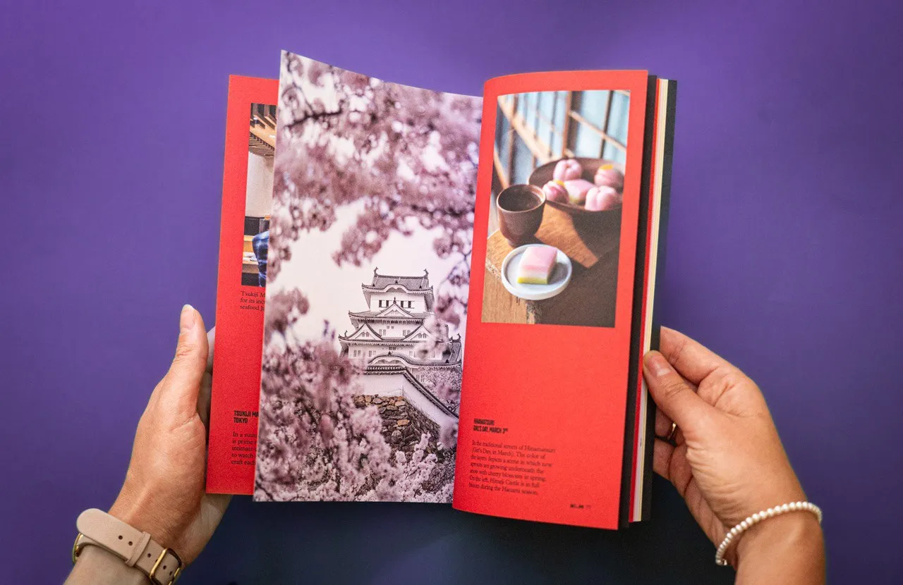 Magazine spread 2