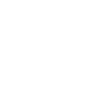 Rotating globe