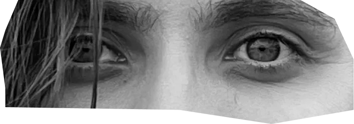 A collage of people's eyes