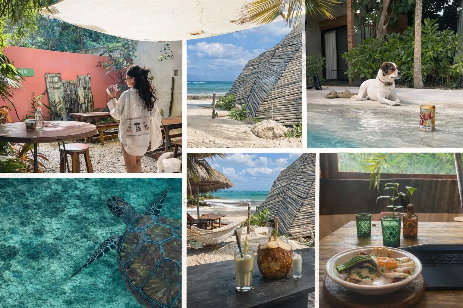 Collage of Tulum experiences - cafe, beach, dog by pool, turtle snorkeling, and food